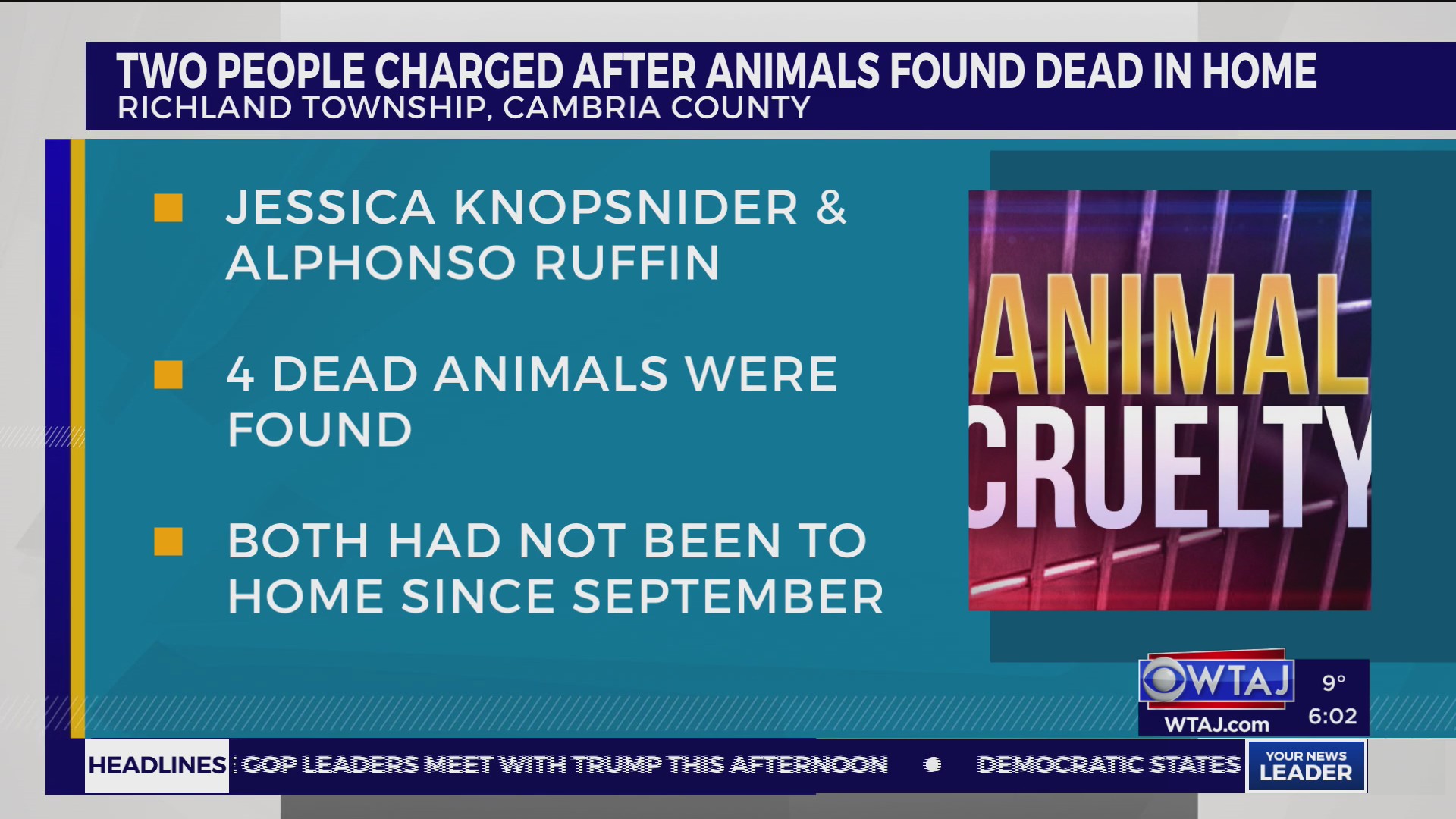 Two charged after multiple animals found dead in Cambria County – WTAJ ...