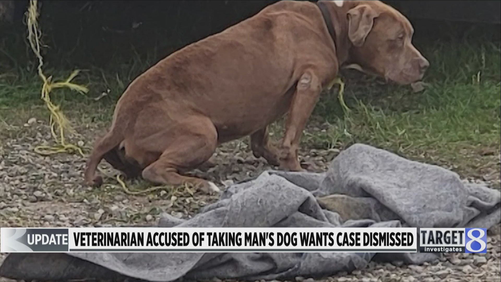 Accusing Dogs Vet accused of taking man’s dog wants case dismissed – WJET/WFXP ...