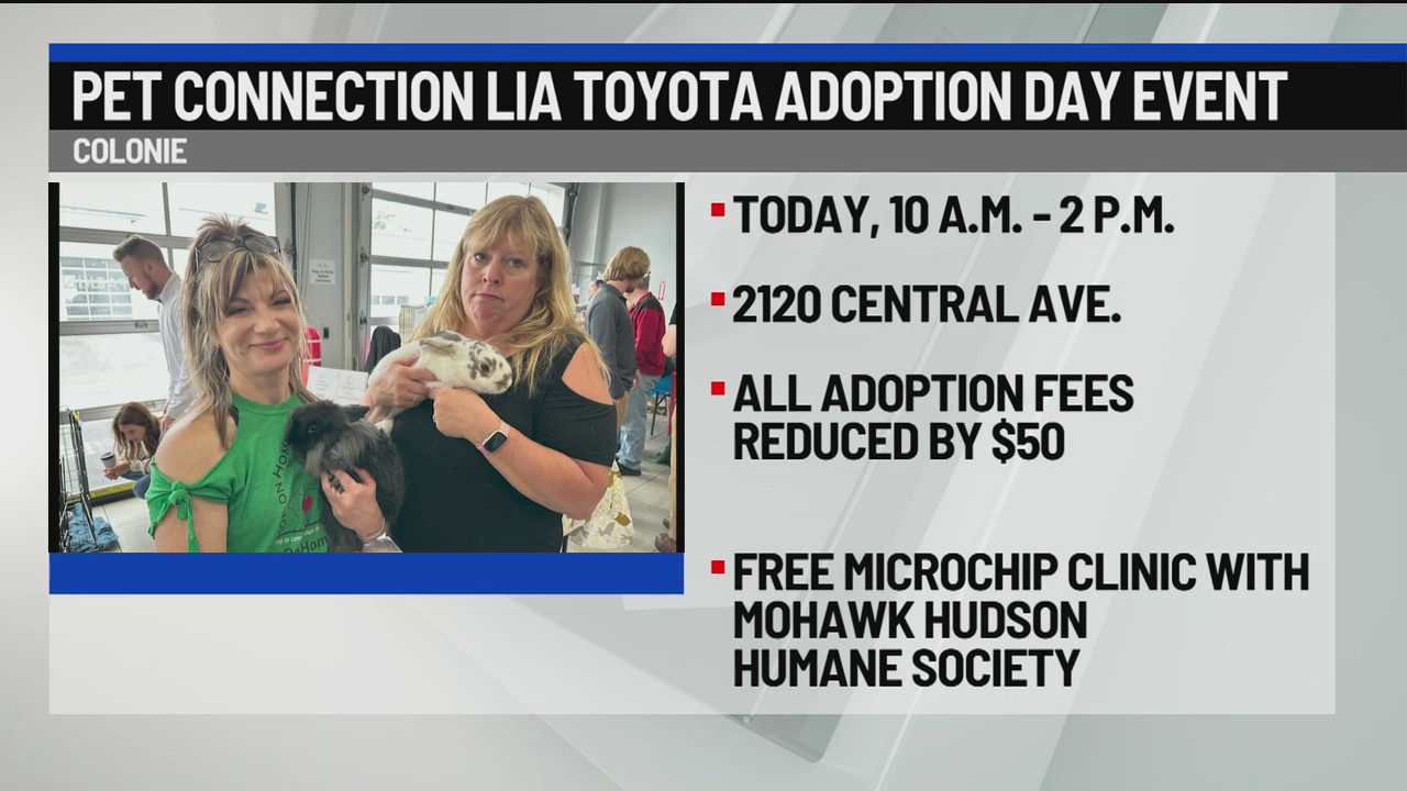 Pet Connection Lia Toyota Adoption Day event – NEWS10 ABC