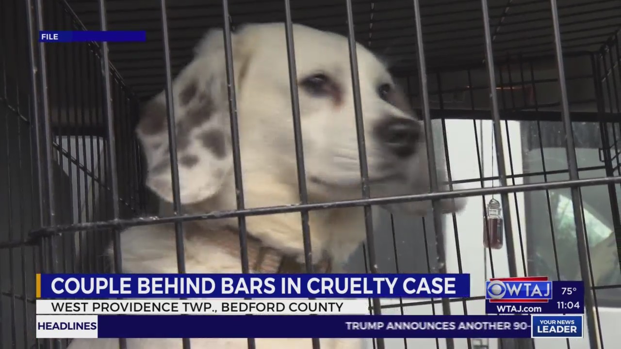 $100K bail: Couple jailed in Bedford County after animal cruelty ...