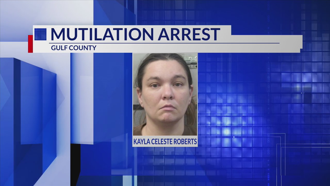 GCSO: Woman accused of burning the remains of her stillborn baby ...