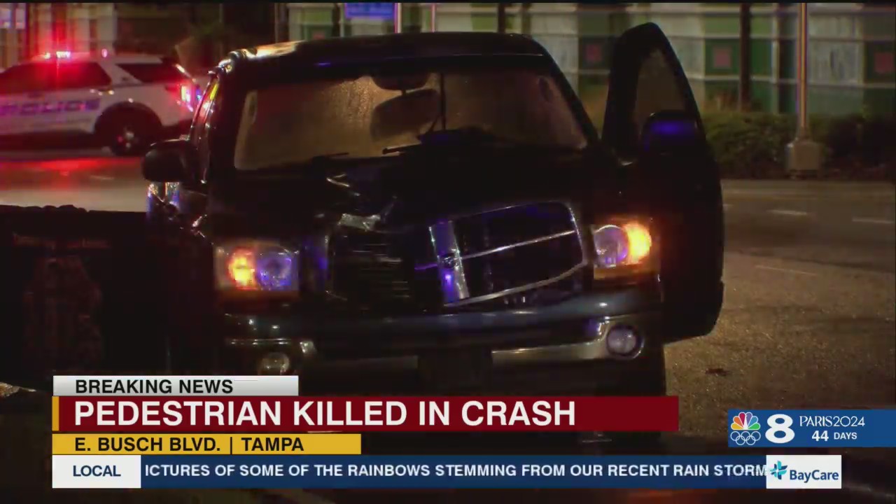 Pedestrian killed in Tampa crash – WFLA