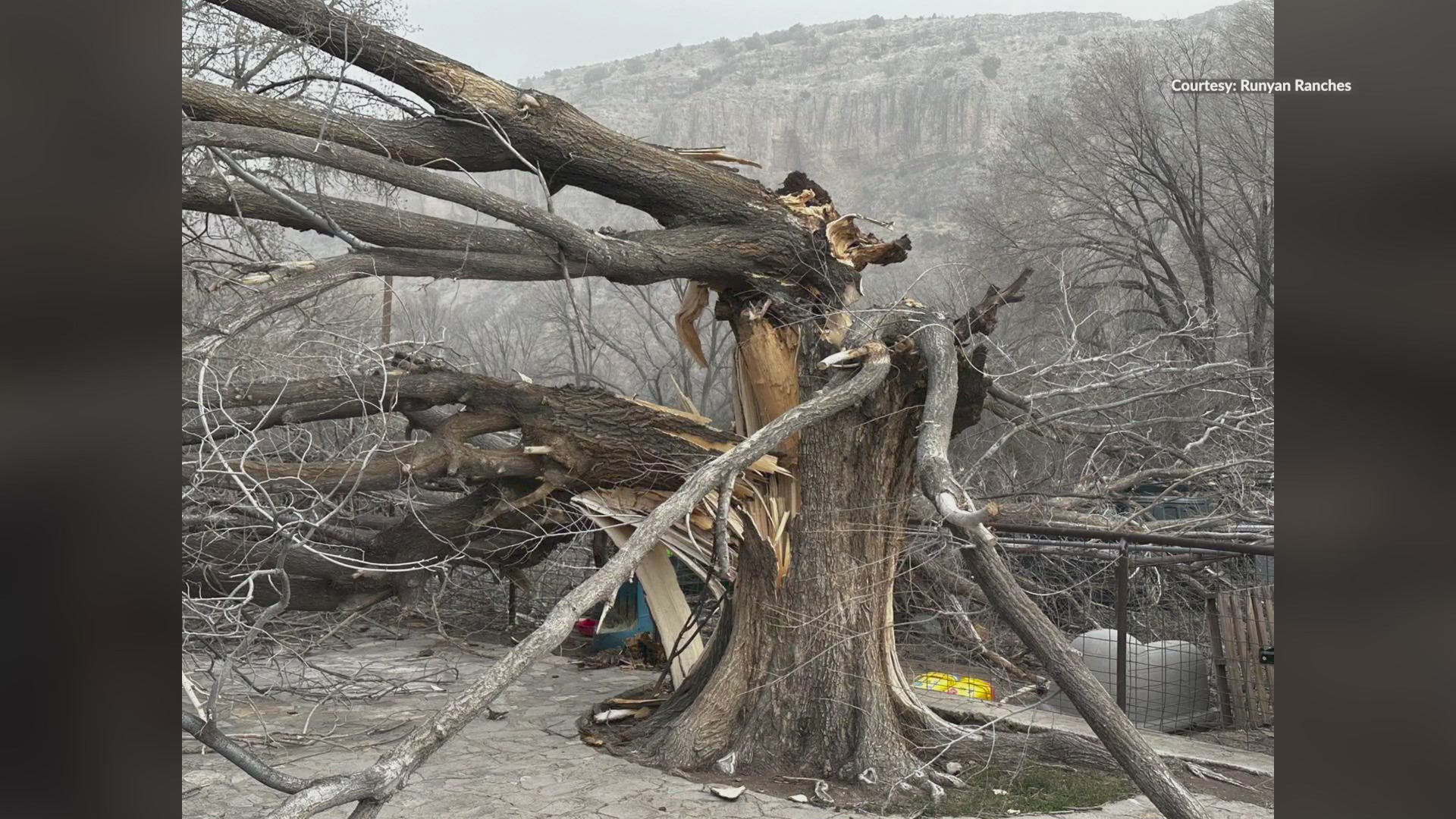 Hazardous winds leave a trail of destruction in New Mexico – KRQE NEWS ...