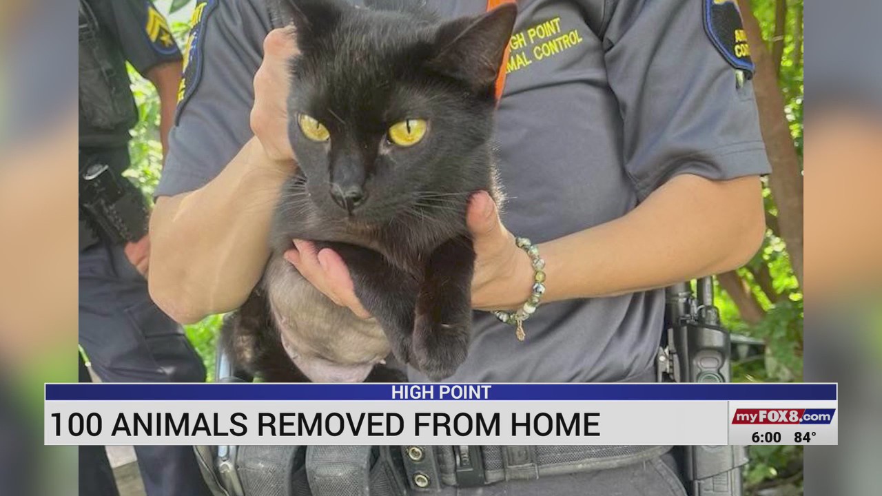 100 animals removed from home in High Point – FOX8 WGHP