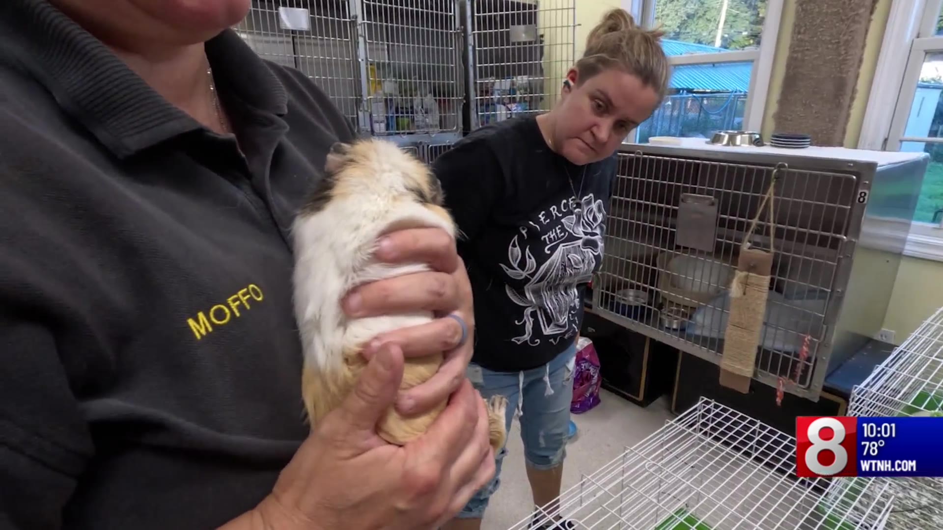 Dozens of animals rescued from harsh conditions in Woodbridge – WTNH.com