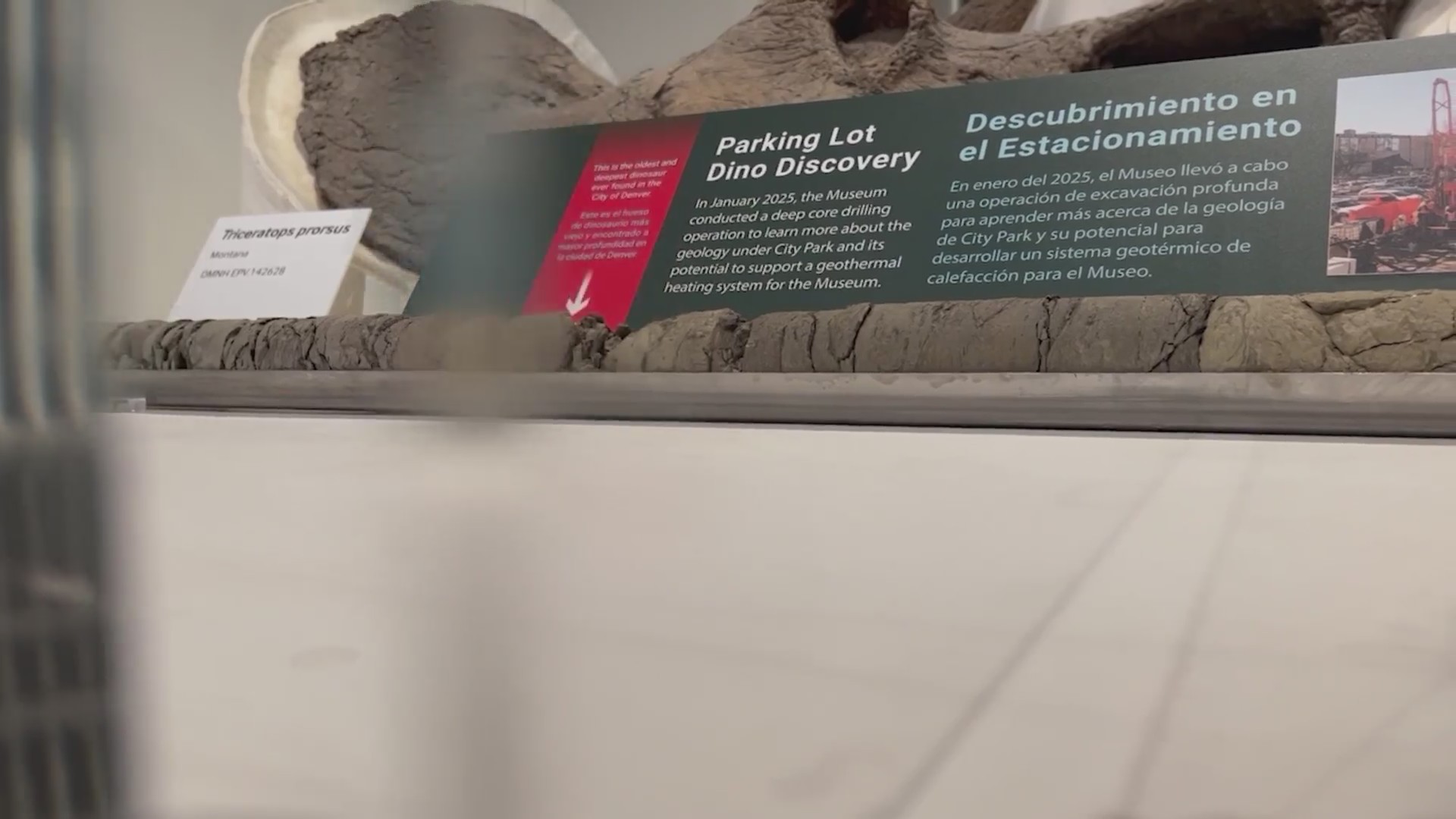 Denver Museum of Nature amp Science - 7A5AF3DE5EE27ACBBE3063021D914213 