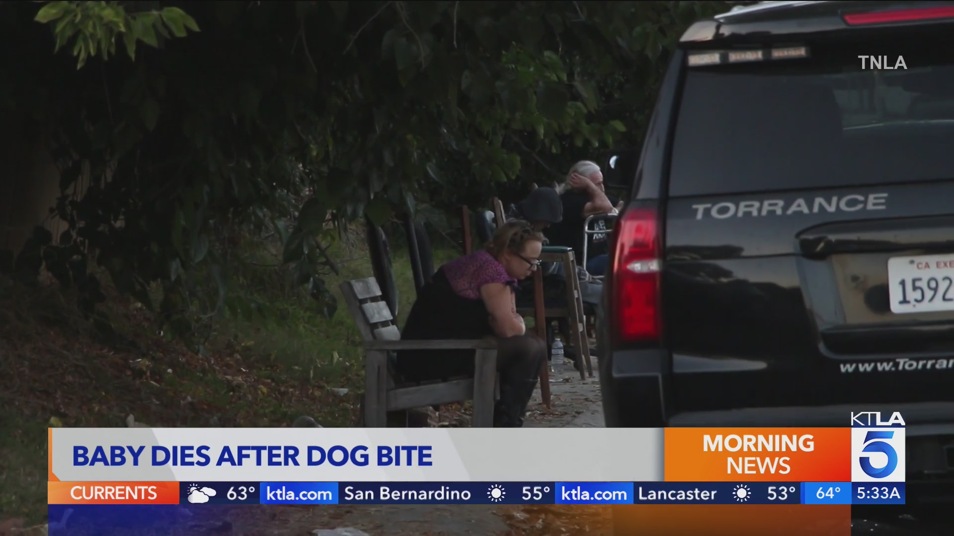 Infant dies after being bitten by dog in Torrance – KTLA