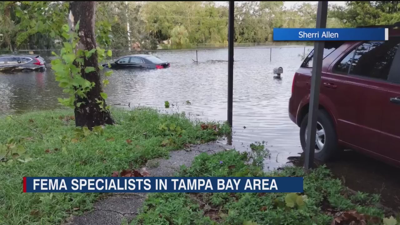 FEMA specialists on the ground in Tampa Bay area – WFLA