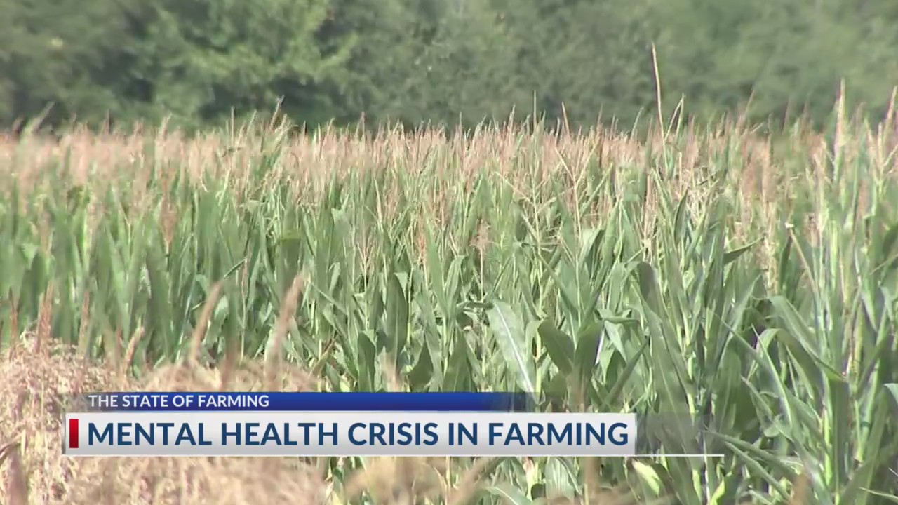 Mental health crisis in farming – NBC4 WCMH-TV