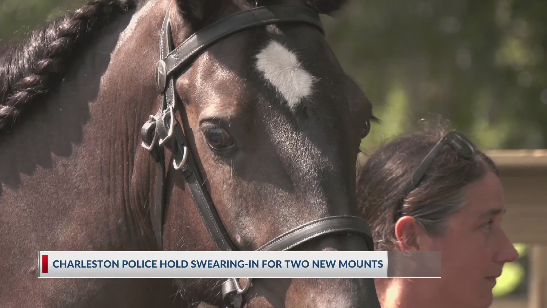 Charleston police hold swearing-in for two new mounts – WCBD News 2
