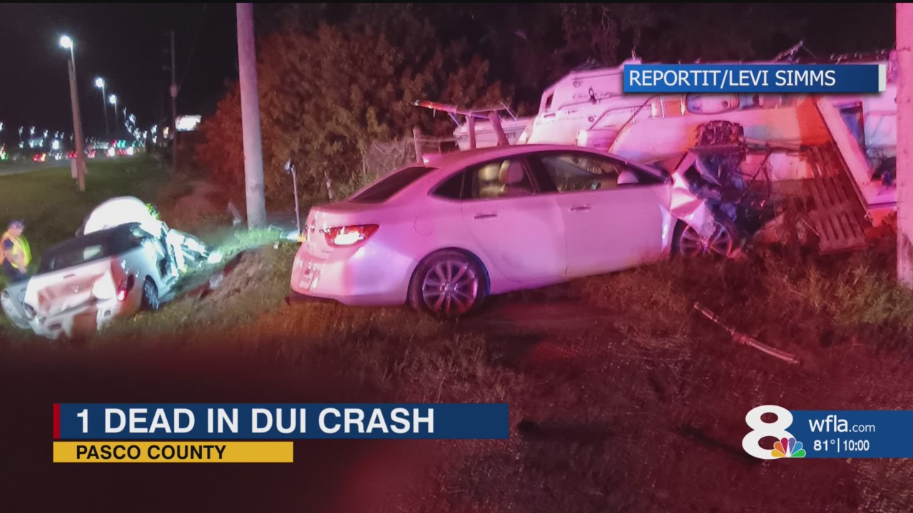 1 dead in Pasco County DUI crash – WFLA