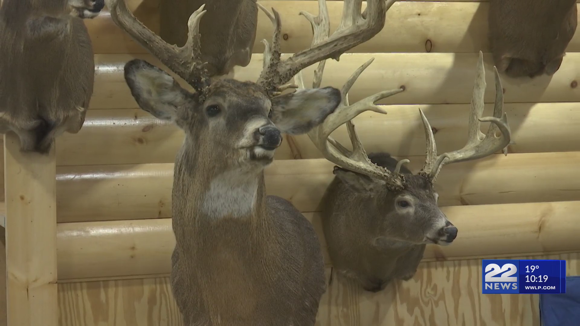 41st annual Springfield Sportsmen’s Show at the Eastern States ...