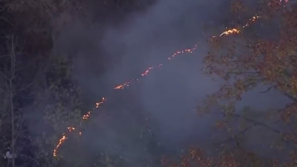 Brush fire breaks out at Inwood Hill Park: officials – PIX11