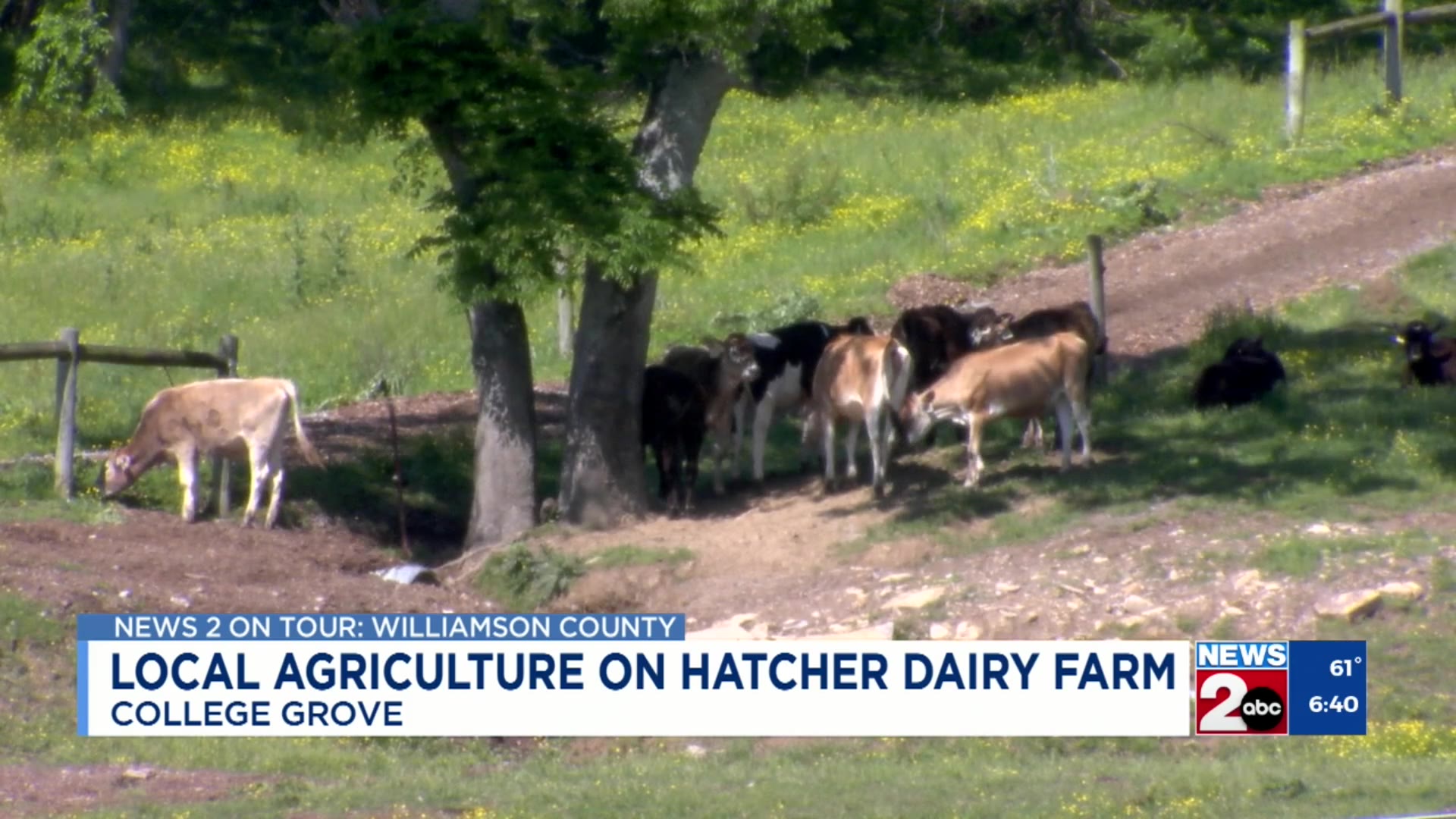 Middle TN agriculture on Hatcher Dairy Farm – WKRN News 2