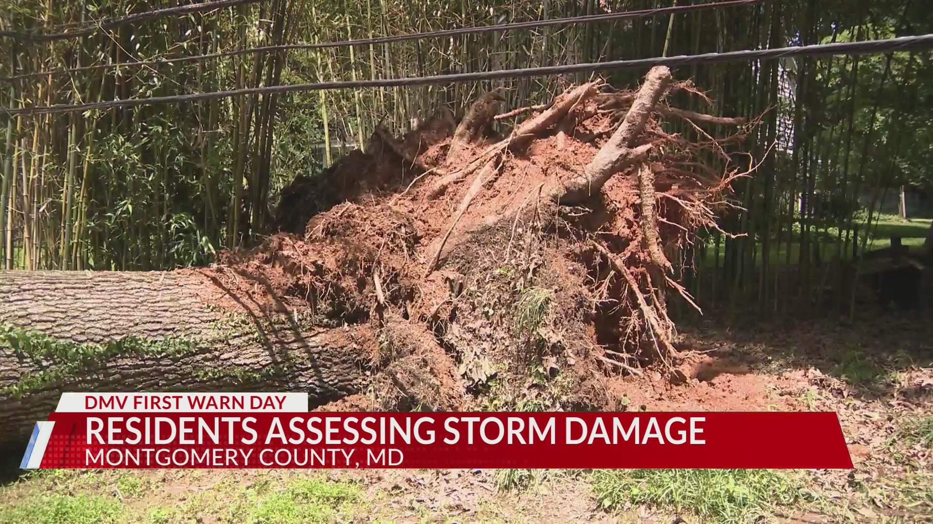 Montgomery County residents assessing storm damage – DC News Now | DC ...