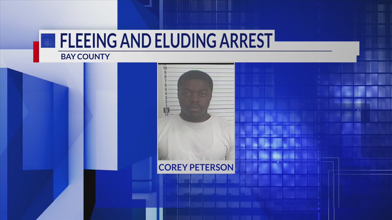 Several cars damaged after man flees traffic stop – mypanhandle.com