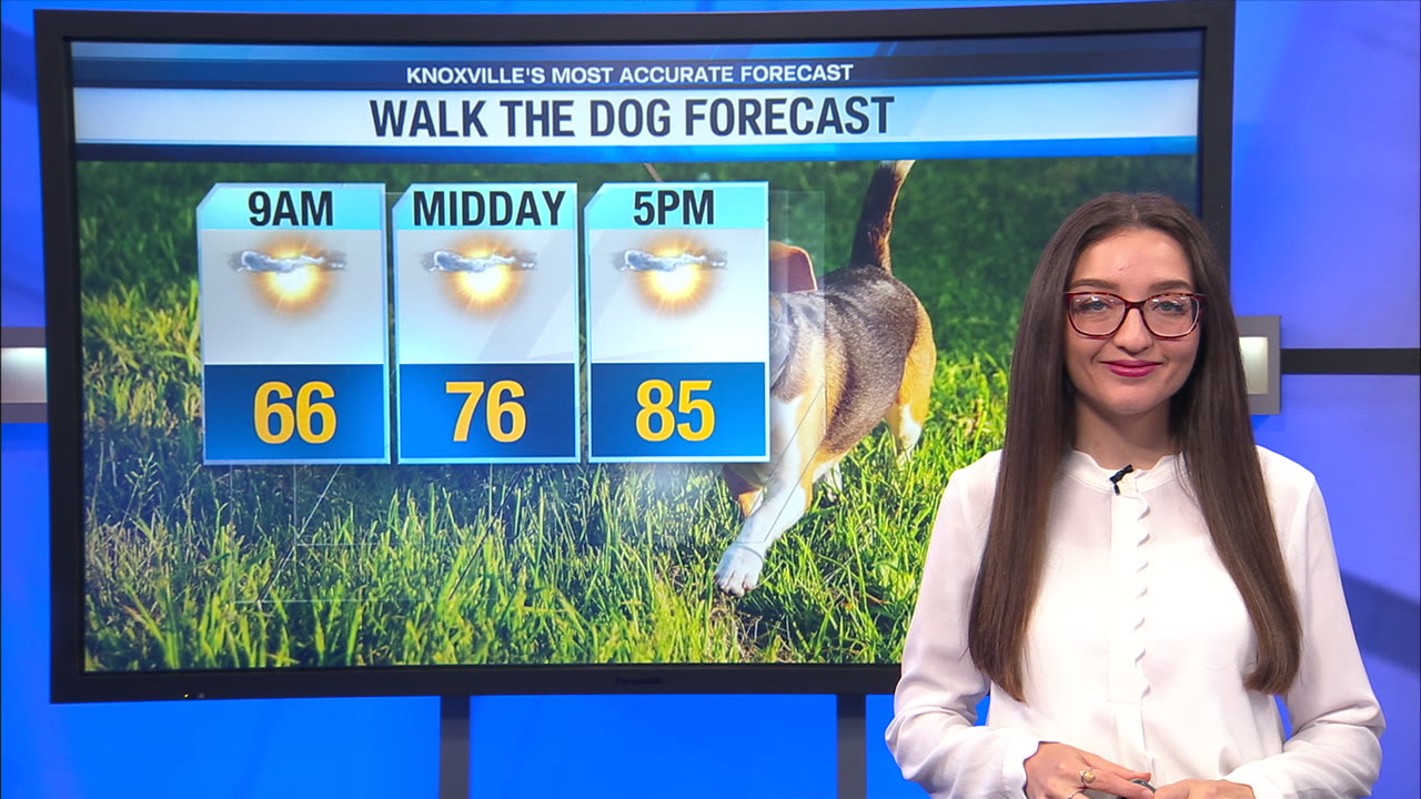 Mostly sunny and warm today with highs in the mid 80s – WATE 6 On Your Side