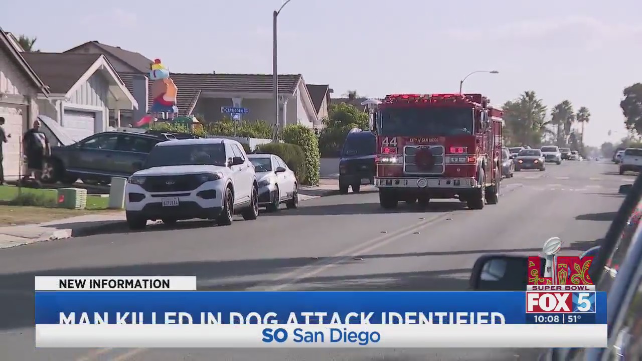 Man mauled to death by own dogs identified – FOX 5 San Diego & KUSI News