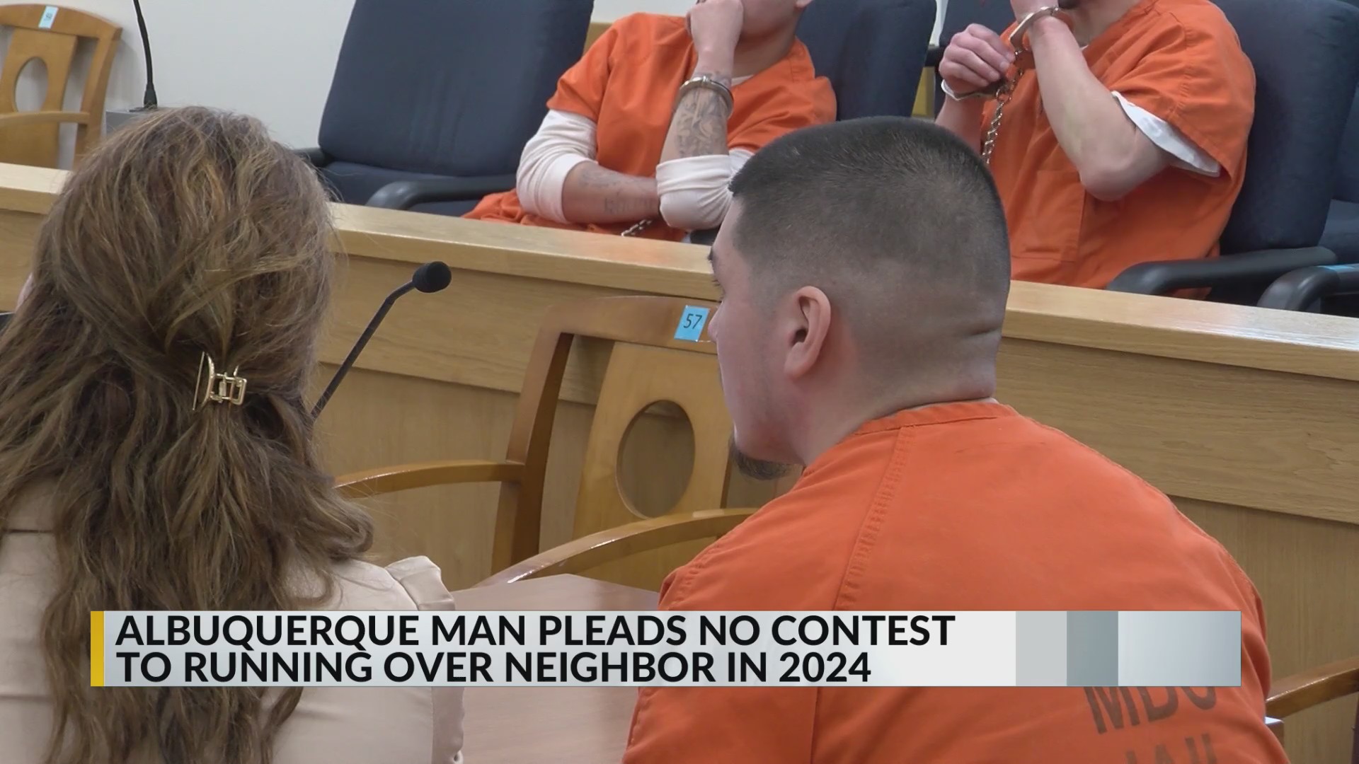 Albuquerque man pleads no contest to charges for running down, killing ...