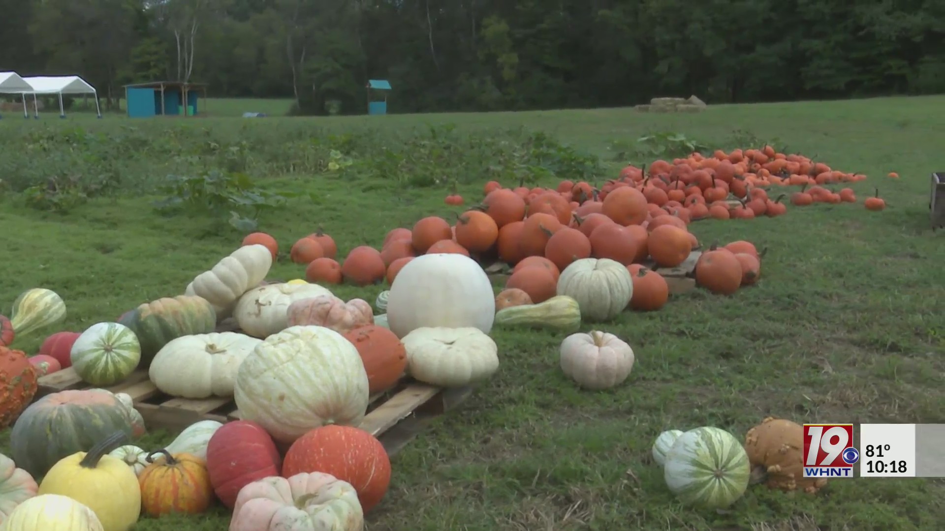 Drought Causing Struggles For Fall Farm Tourism | September 21, 2024 ...