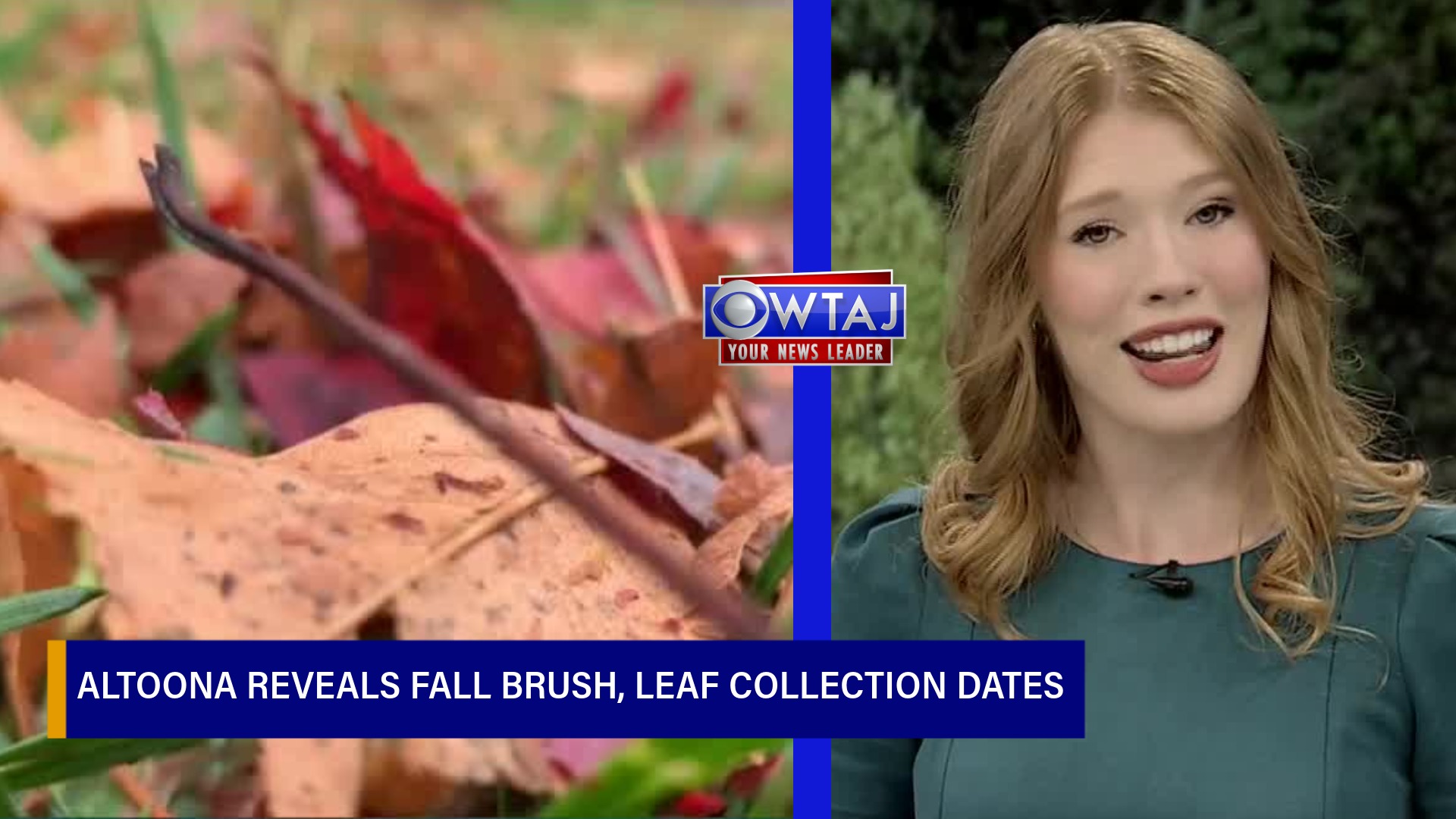 Altoona reveals 2025 fall brush and leaf collection dates for residents ...