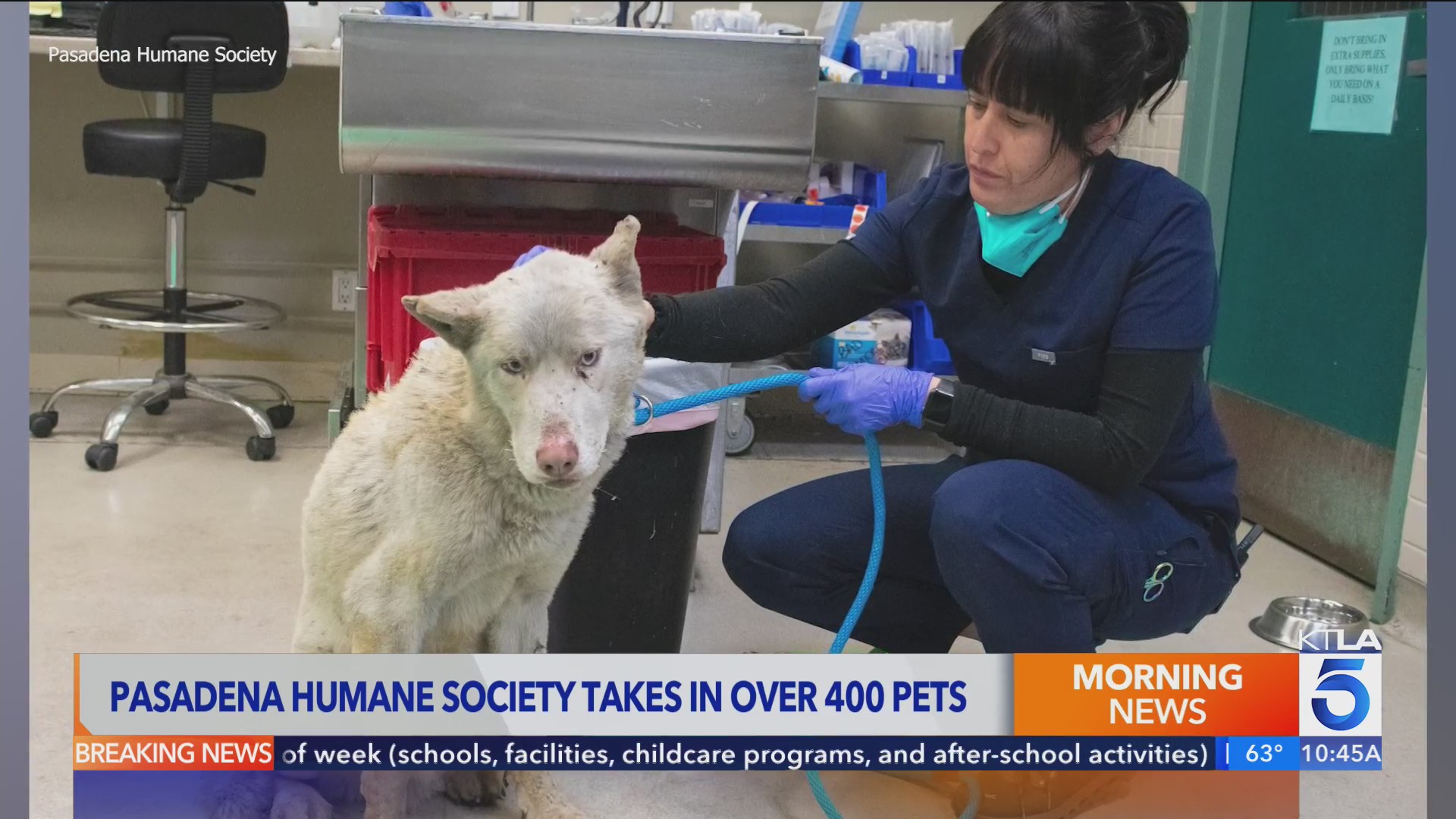 Pasadena Humane Society needs help – KTLA