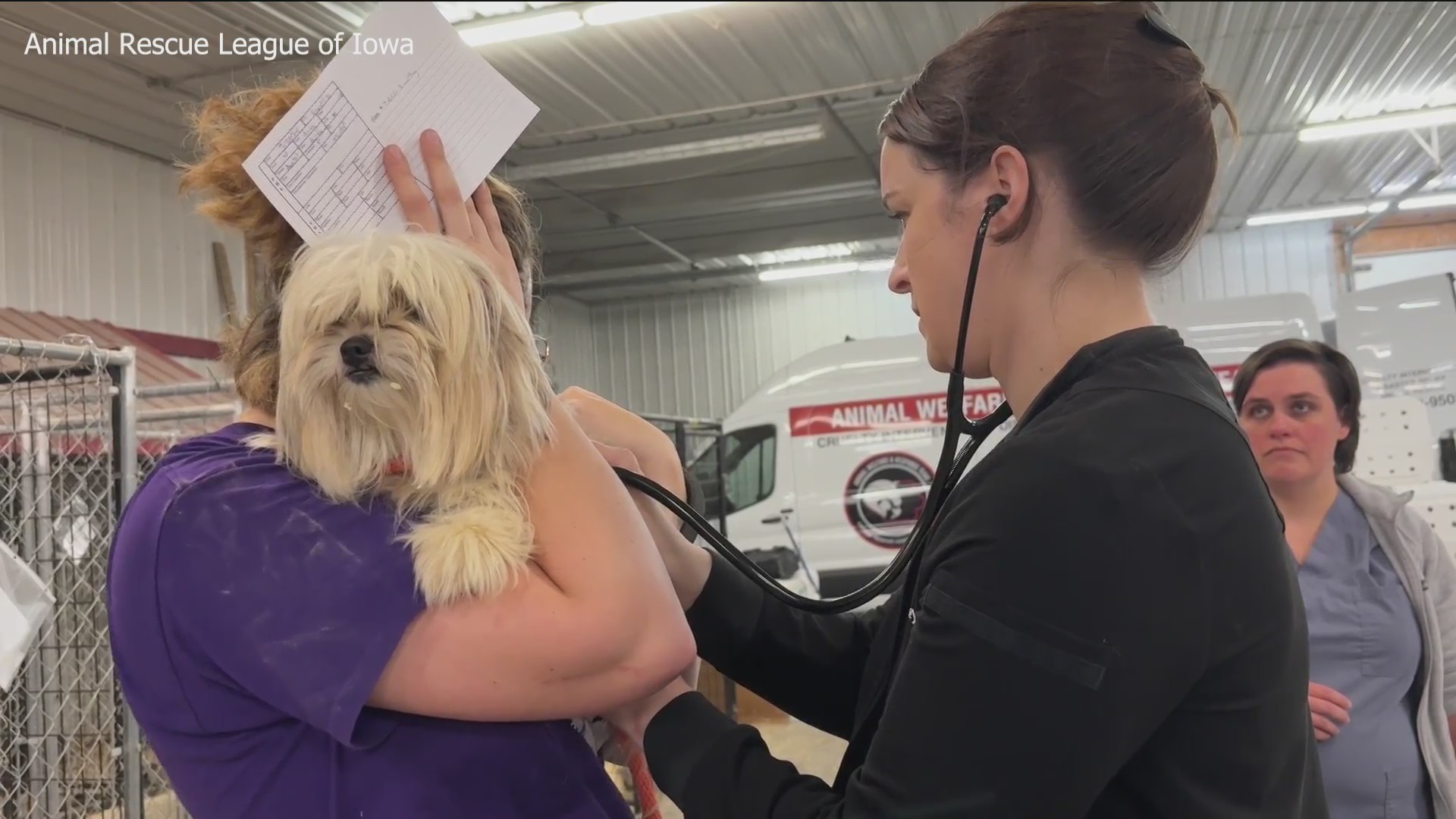 ARL rescues 111 dogs from Plymouth County home – who13.com