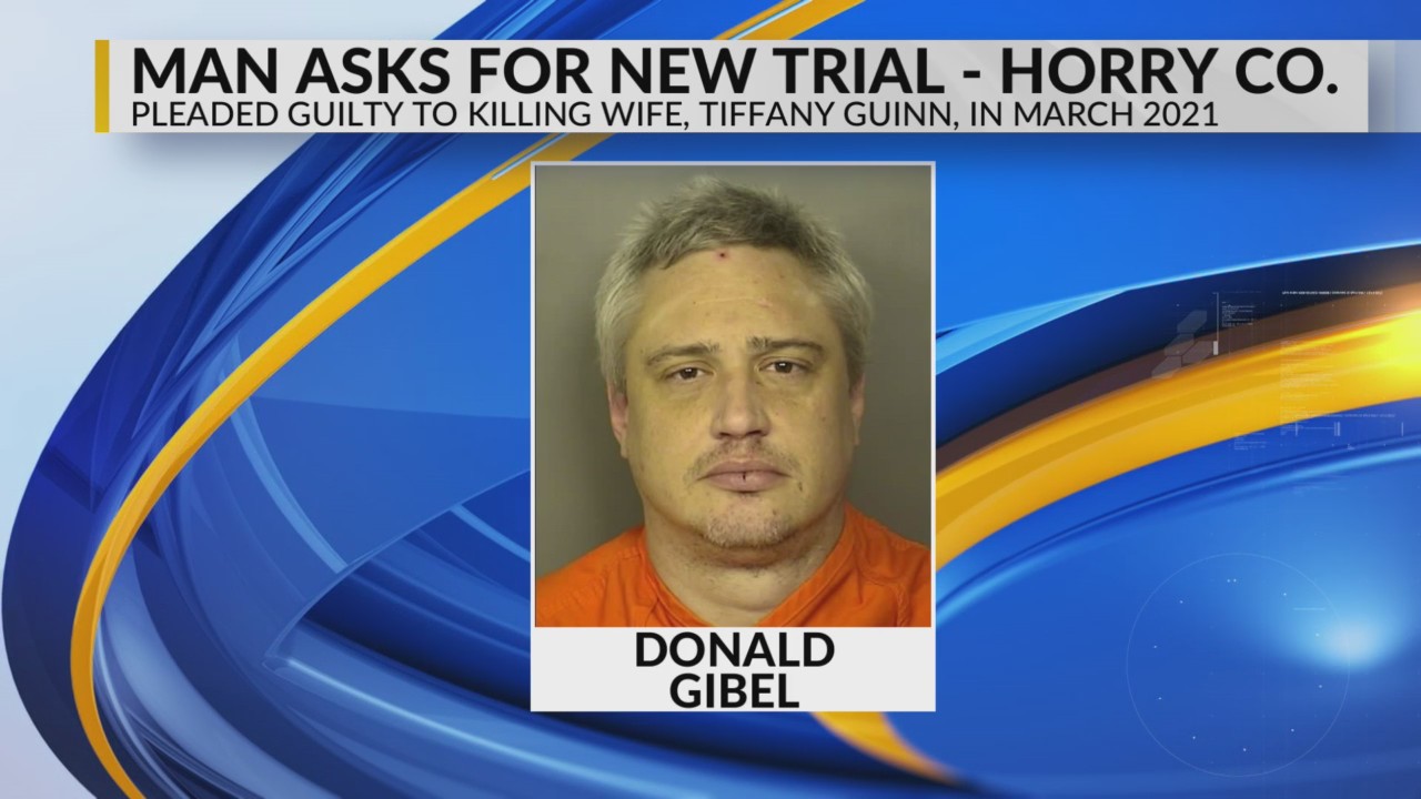 Man who pleaded guilty to killing wife in Horry County in 2021 asks for ...