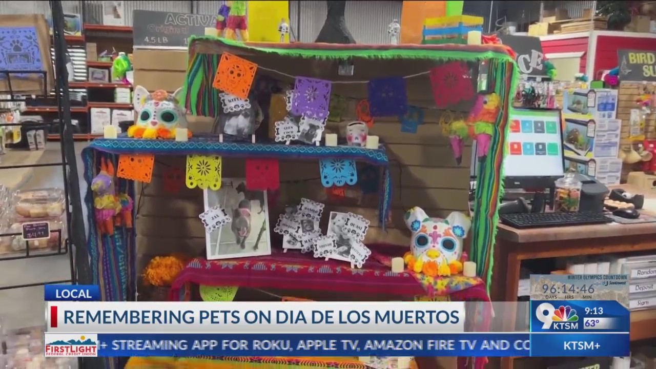 Local pet store hosts Dia de los Muertos themed celebration – KTSM 9 News