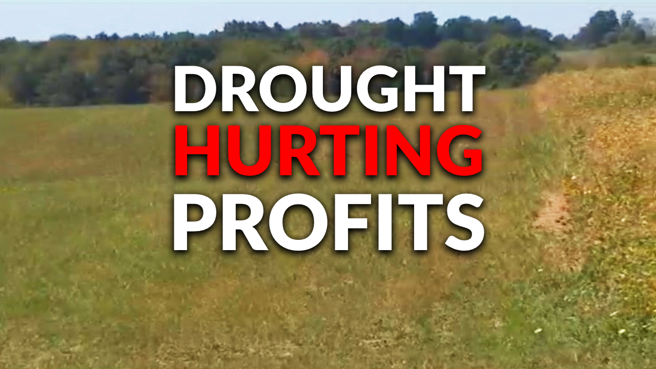 $60K and counting: The cost of drought for an area farmer – WKBN.com