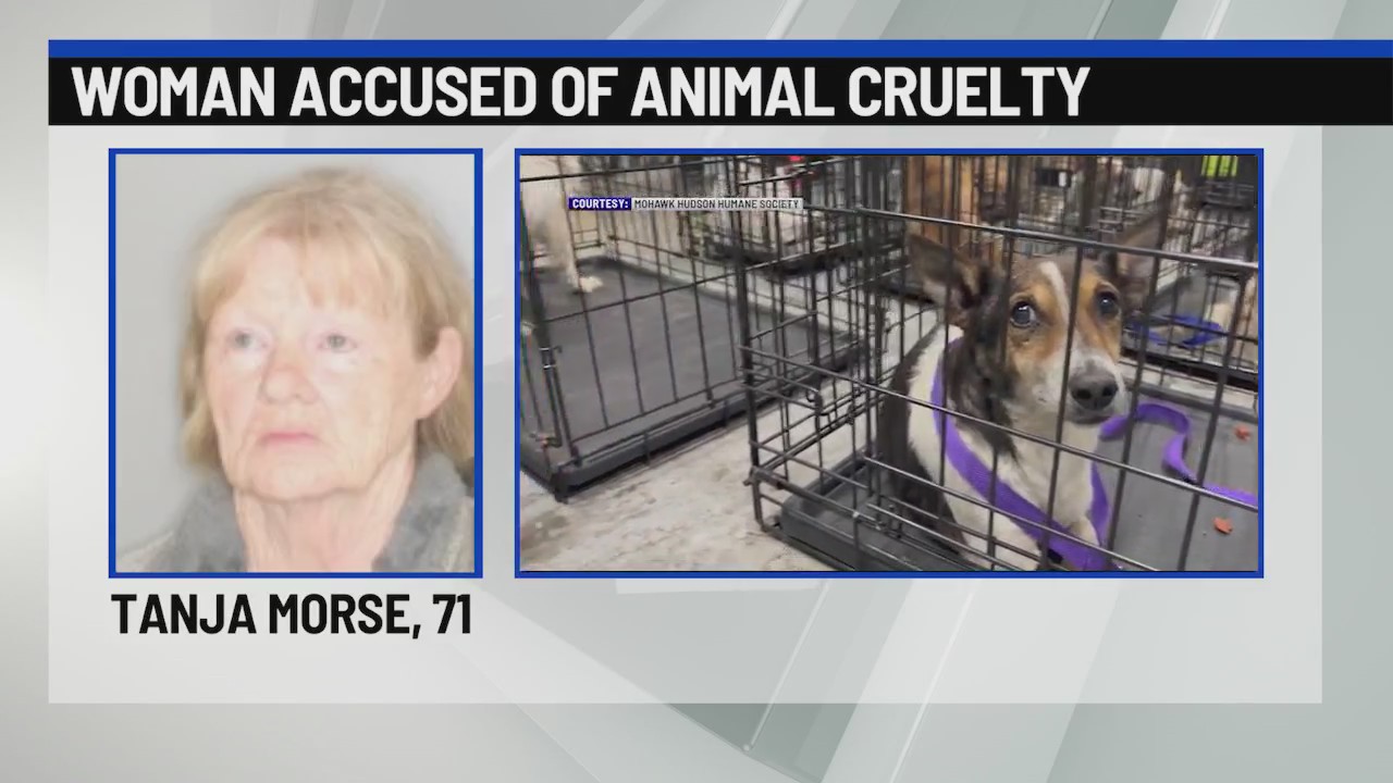 Westerlo woman accused of animal cruelty – NEWS10 ABC