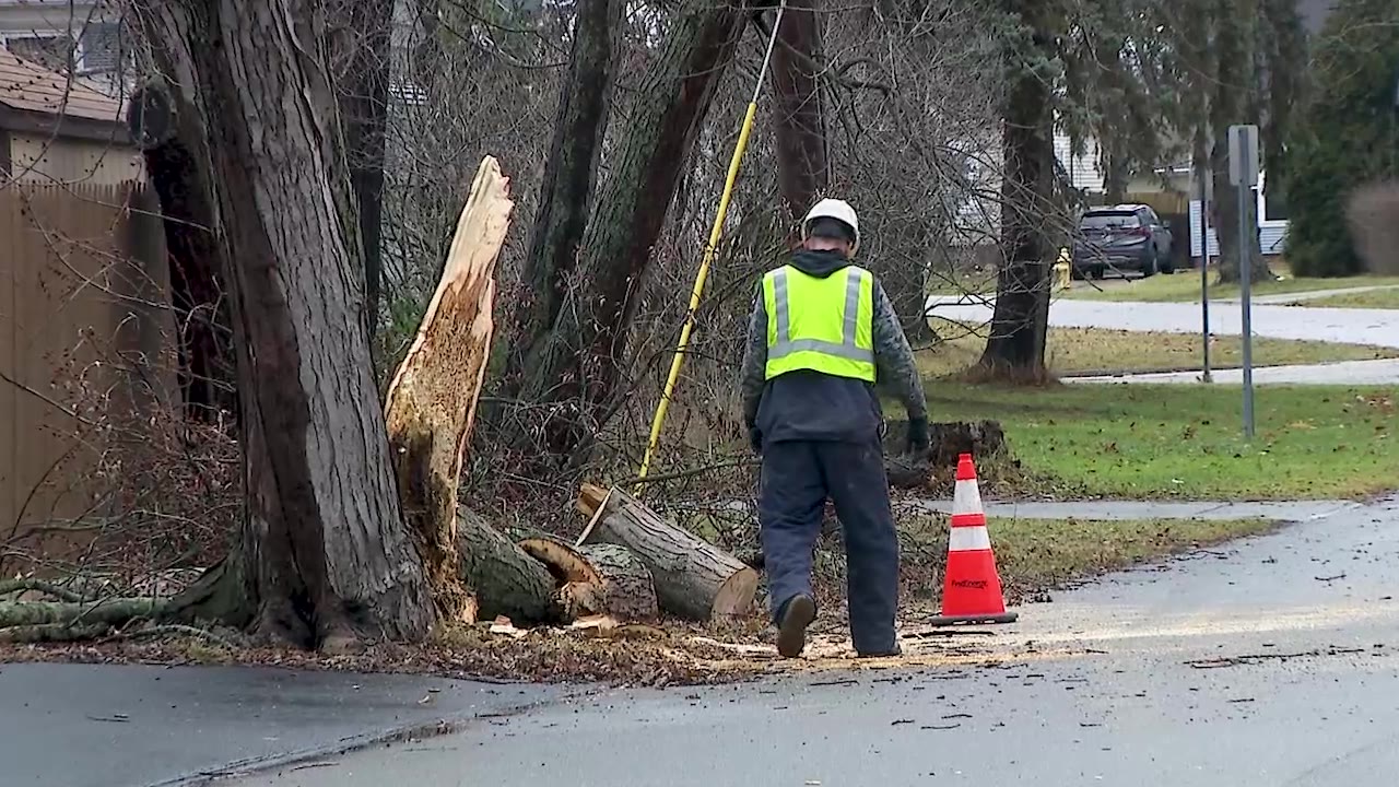 Strong winds bring down trees, power lines leaving thousands without ...