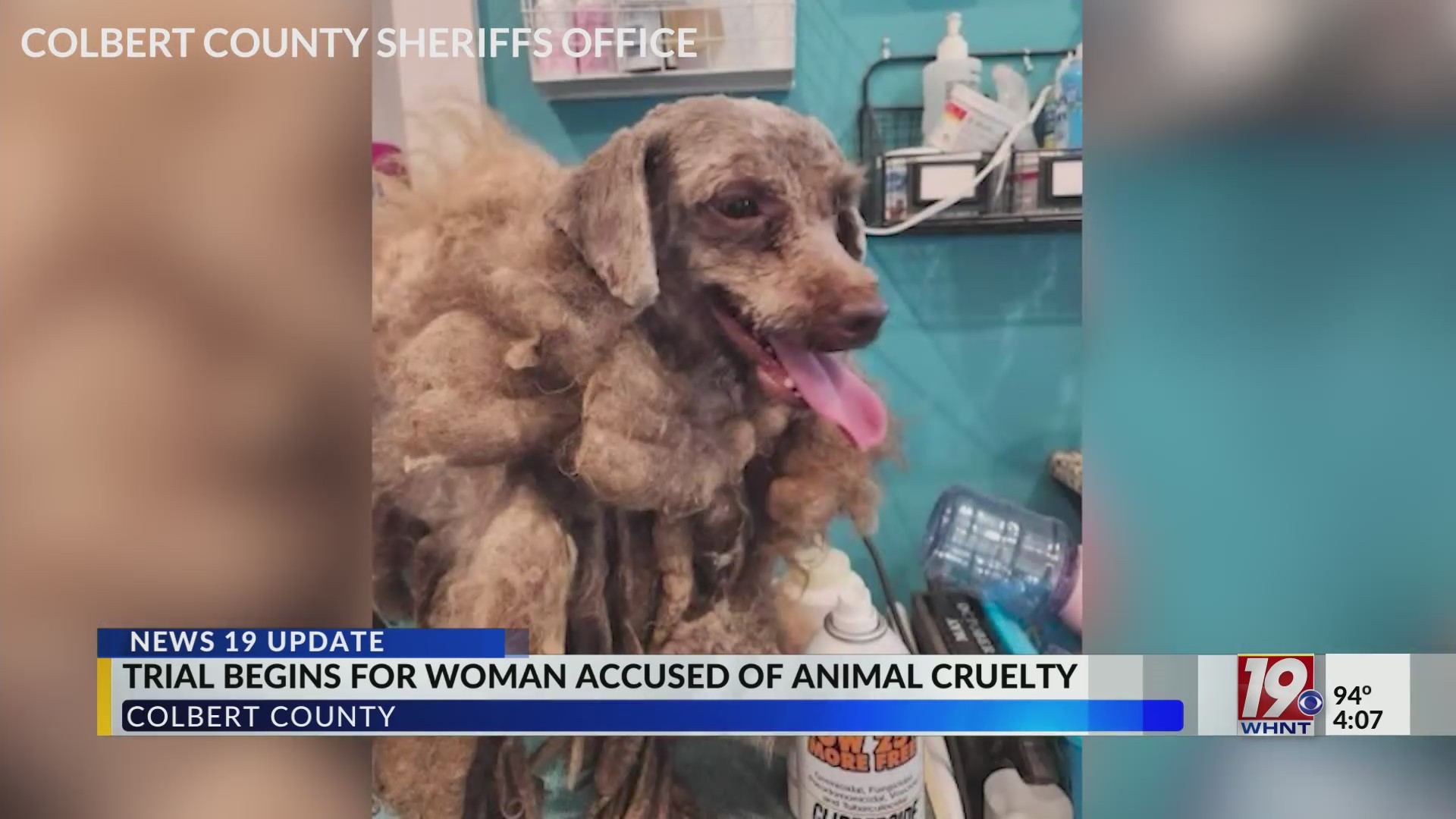 Trial Begins For Woman Accused Of Animal Cruelty | August 26, 2024 ...