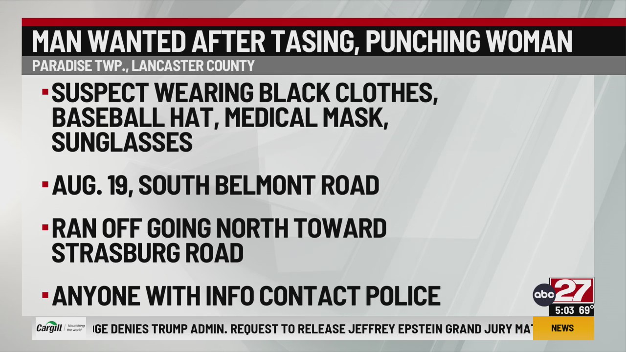 Man allegedly punched, tased woman, 68, in Lancaster County – ABC27