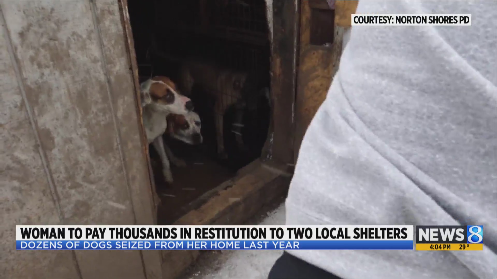 Woman who had dozens of dogs seized to pay shelters $36,000 in ...