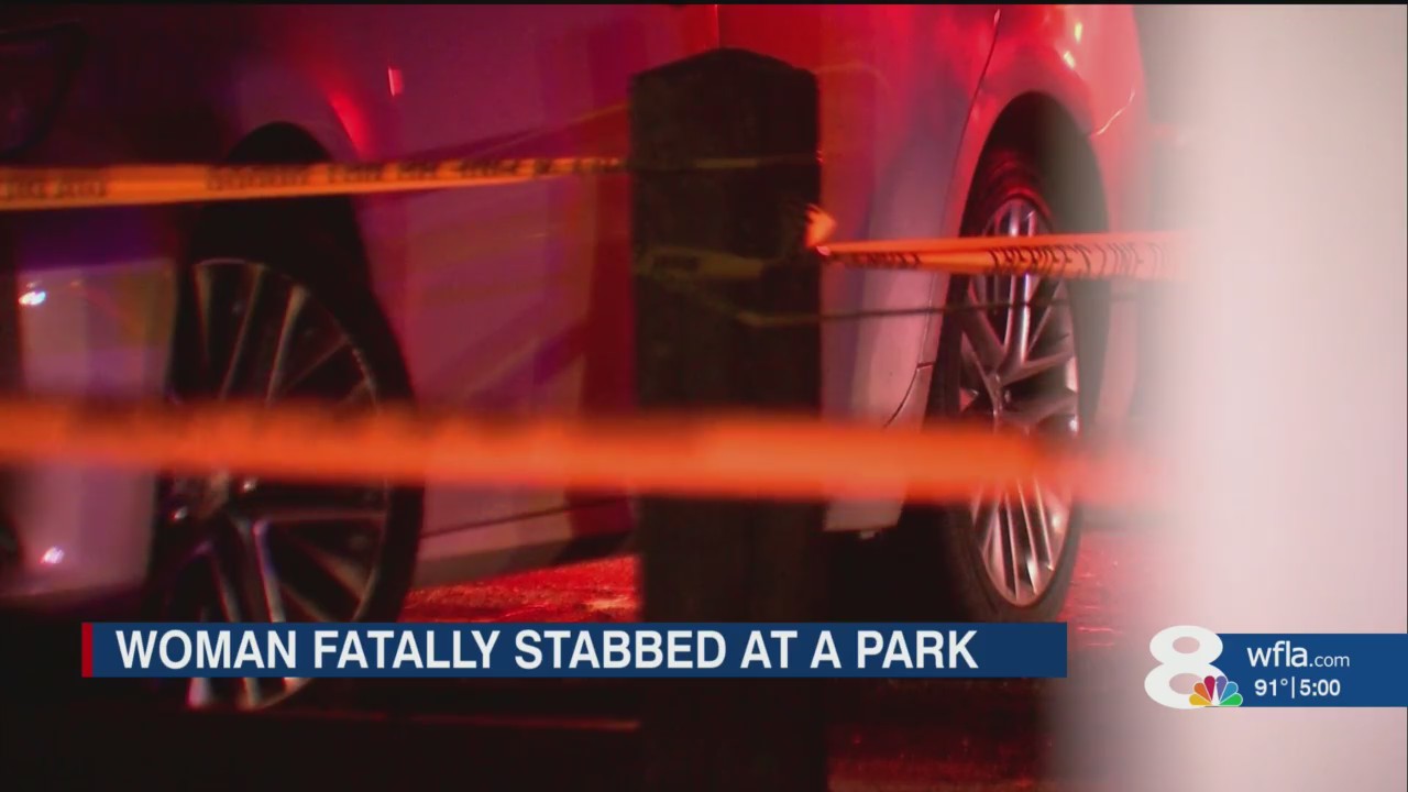 Man facing charges, accused of stabbing 73-year-old woman to death at ...