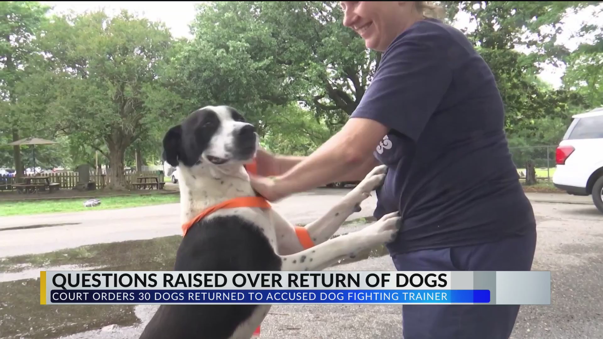 Christopher Railsback Concerns raised after a judge ordered 30 dogs returned to the home of ...