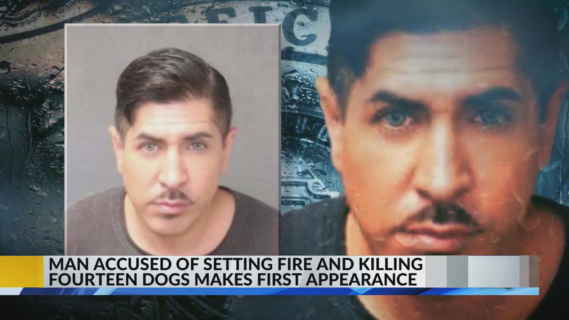Albuquerque man accused of killing more than a dozen dogs – KRQE NEWS ...