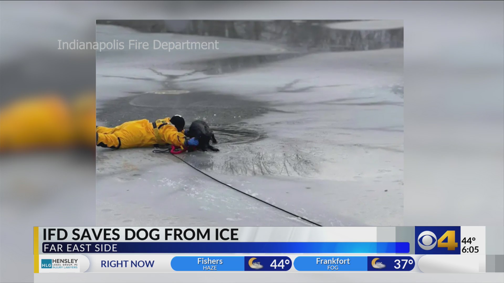Dog stuck on frozen Indianapolis pond rescued by IFD – Fox 59