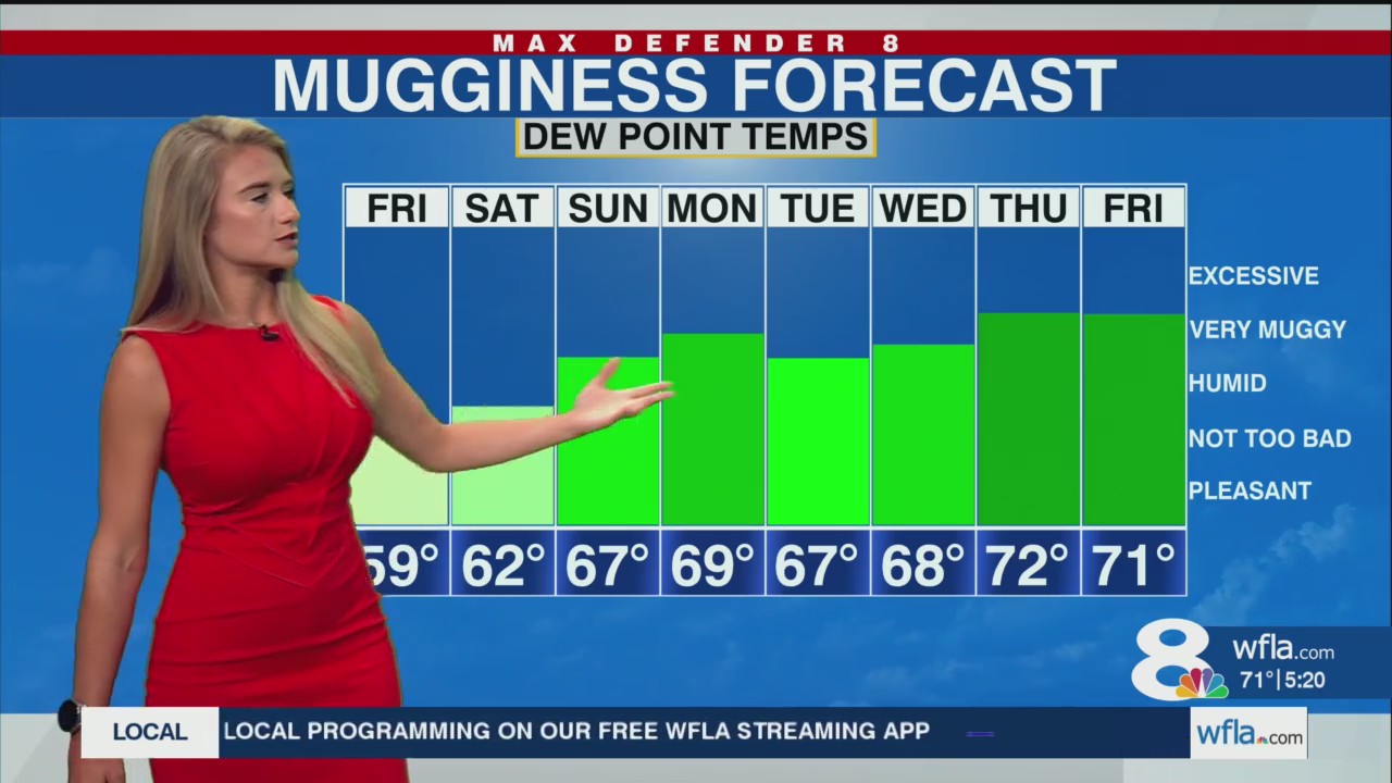 Warm Finish to the Week with Increasing Rain Chances This Weekend – WFLA