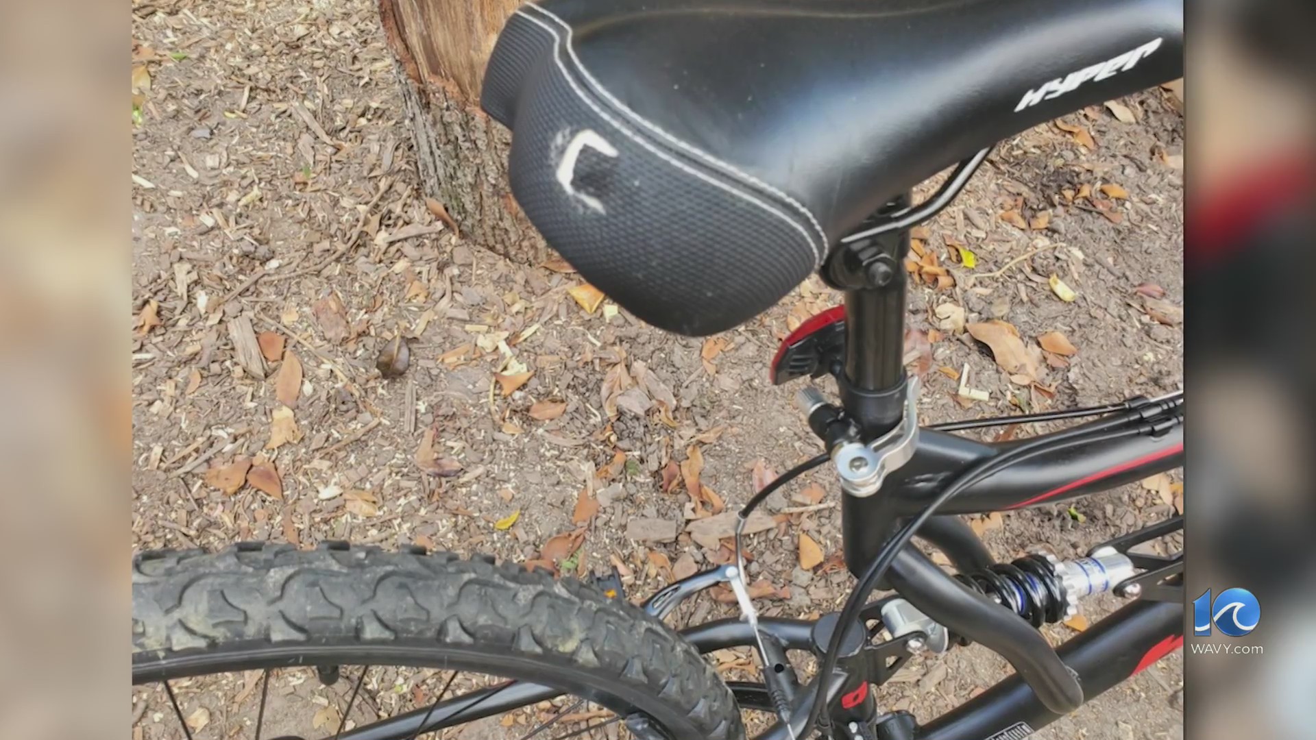 Hampton teen hit by car while riding bike to school – WAVY.com
