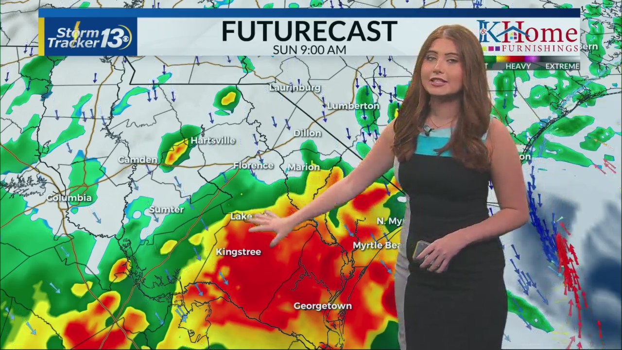 Widespread rain and wind continues – WBTW