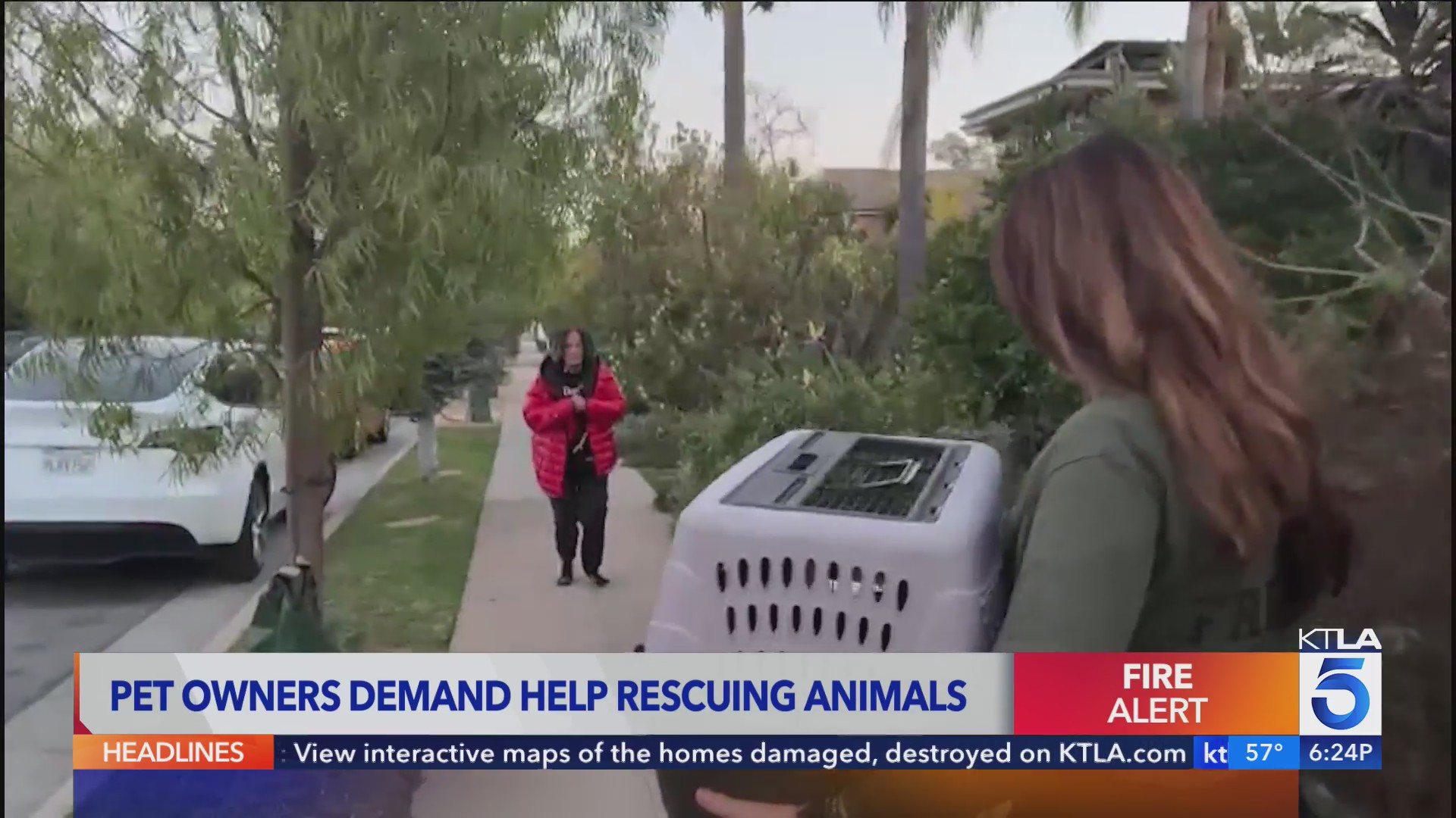Help needed rescuing animals affected by SoCal wildfires – KTLA