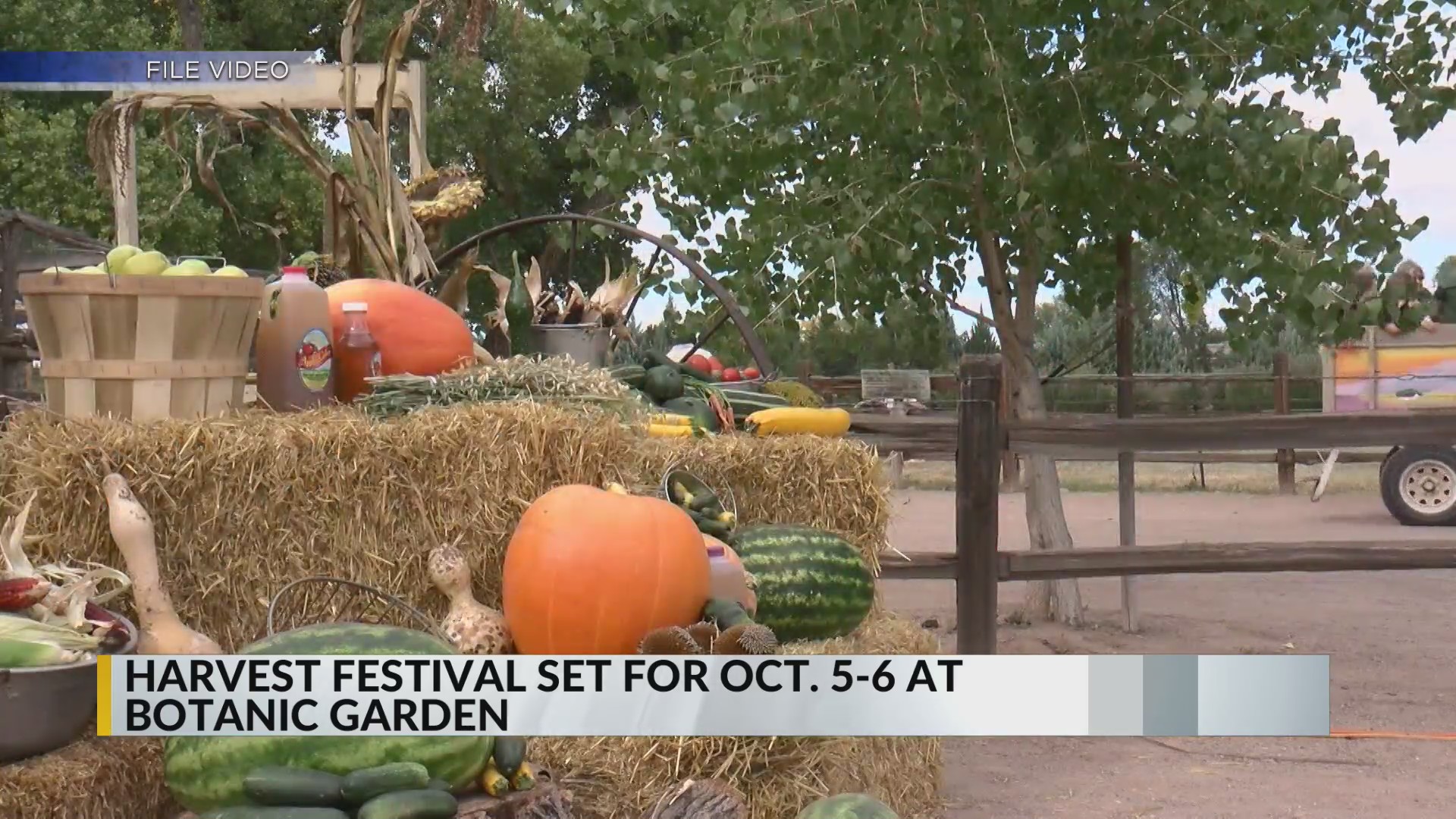 Annual Harvest Festival Oct. 5,6 at the ABQ BioPark KRQE NEWS 13