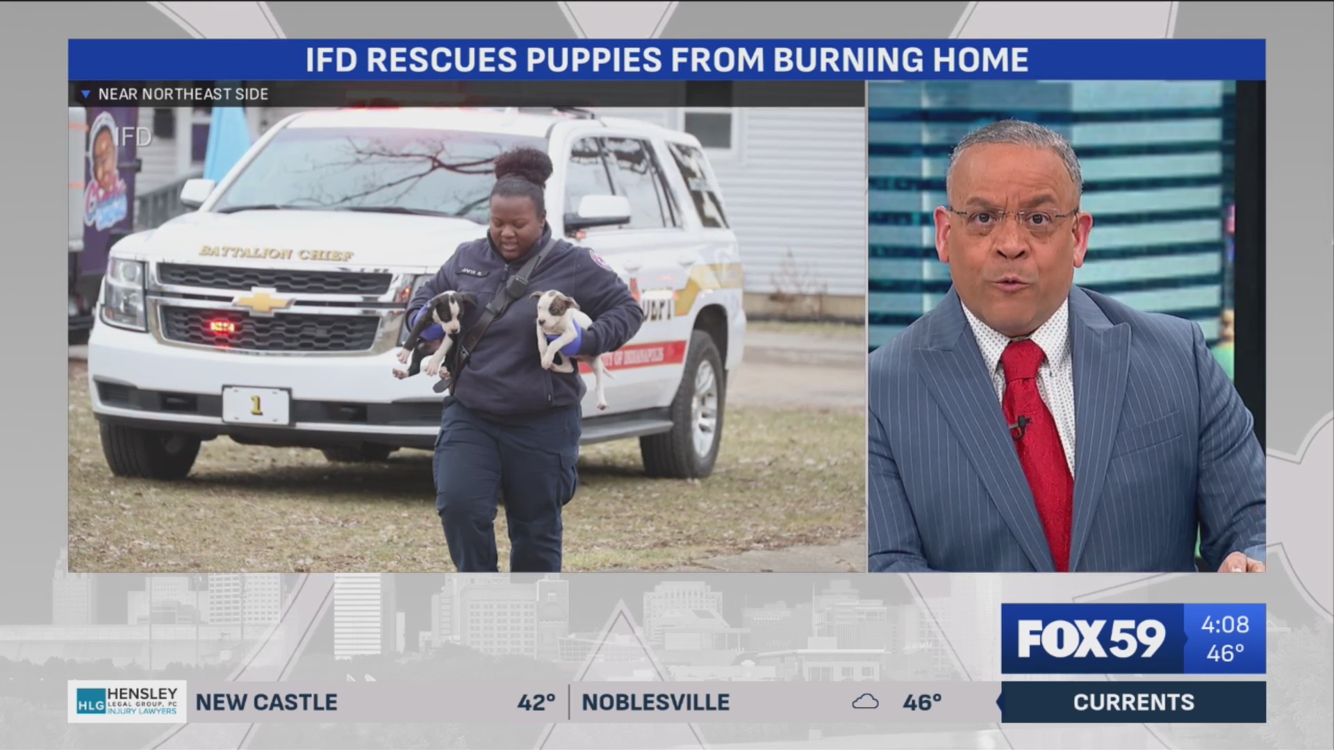 Indy firefighters save 8 puppies and their pregnant mother from burning ...