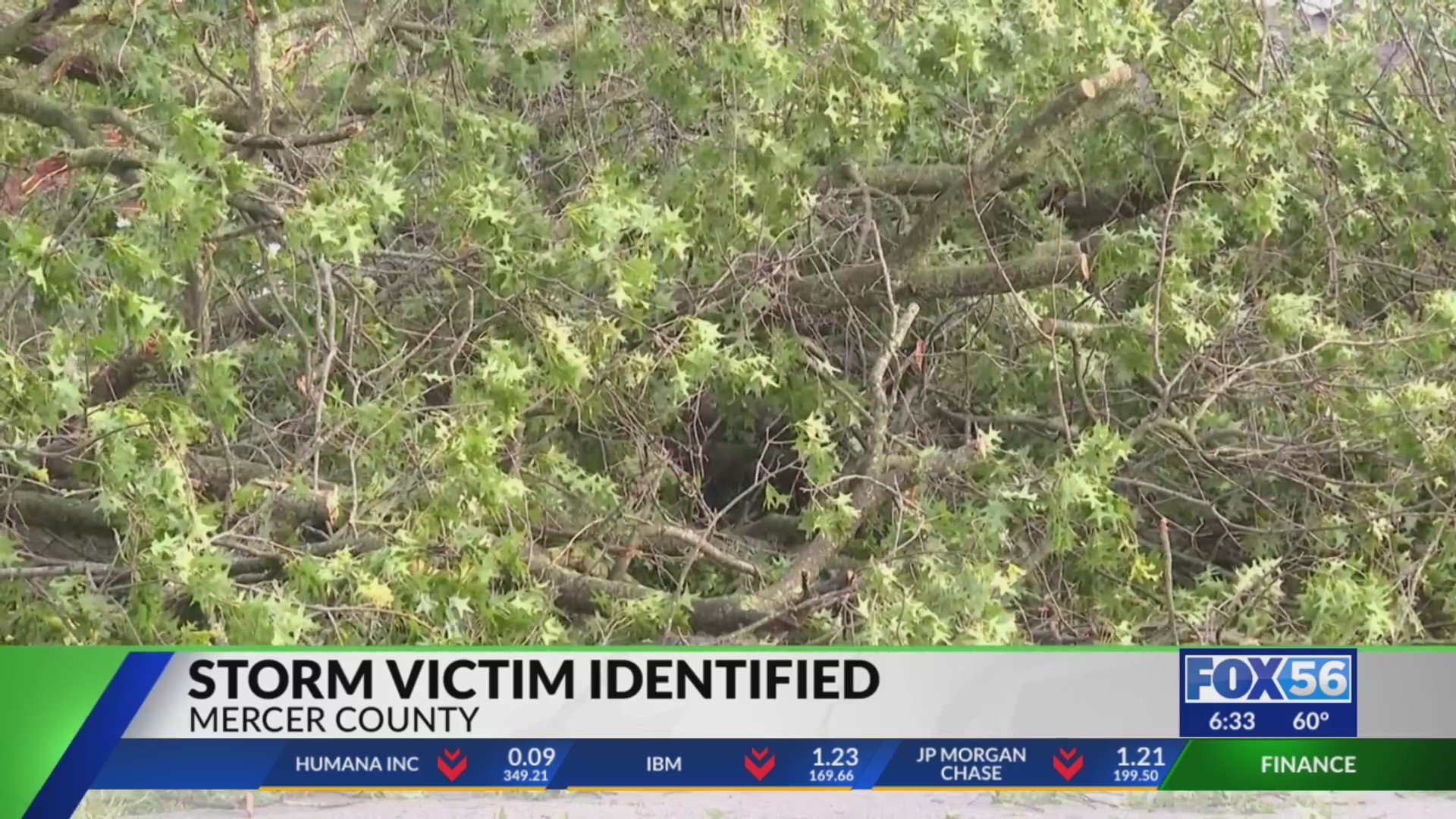 67-year-old woman dies after tree falls on Mercer County home – FOX 56 News