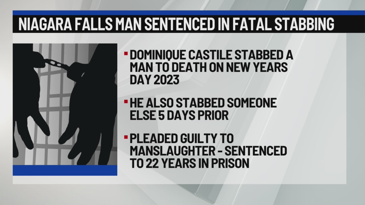 Niagara Falls man sentenced for fatal 2023 stabbing News 4 Buffalo