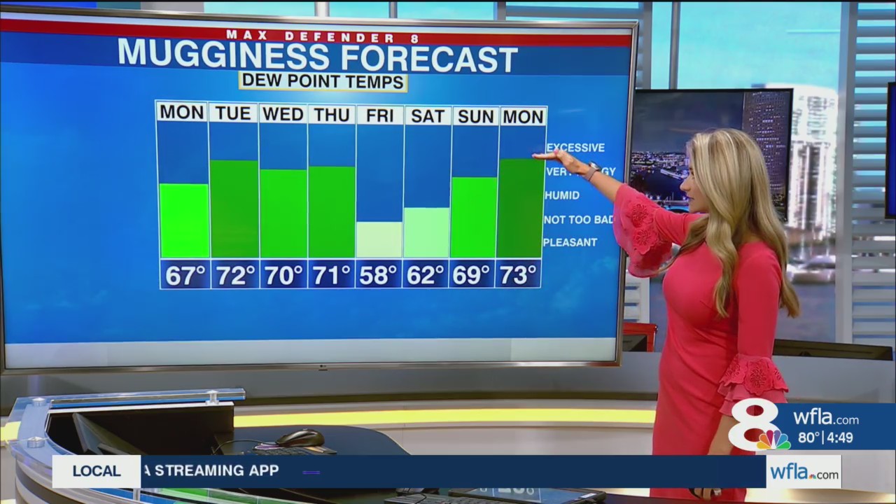 Hot and mostly dry in Tampa through Wednesday – WFLA