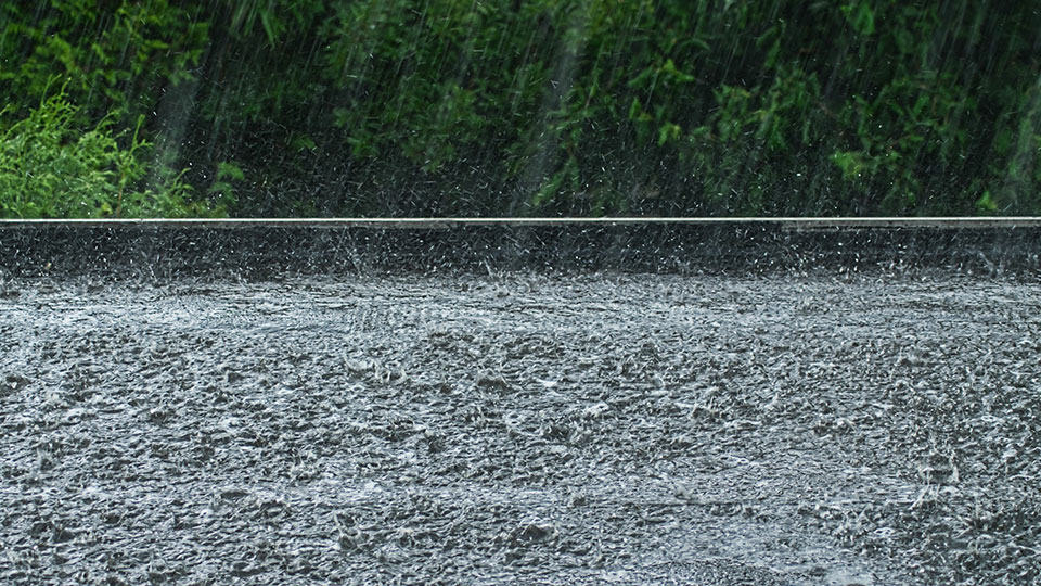 Why does rain have a smell? CBS 42