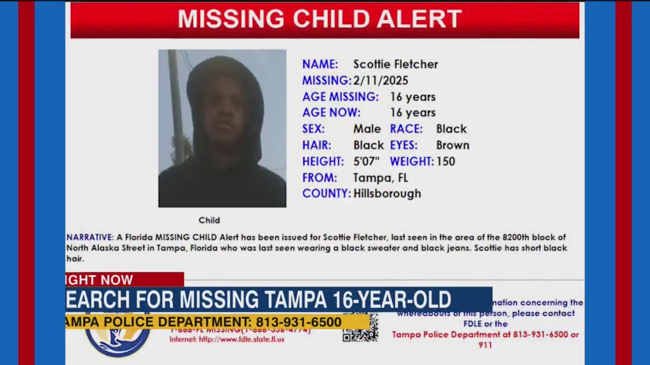 Missing Child Alert issued for 16-year-old in Tampa – WFLA